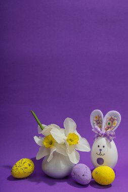 Çiçekli nergisler, paskalya yumurtaları ve mor arka planda tavşanlar. Mutlu bayramlar, tebrik kartı, geleneksel festival kompozisyonu, kopyalama alanı