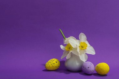 Çiçekli nergisler, paskalya yumurtaları ve mor arka planda tavşanlar. Mutlu bayramlar, tebrik kartı, geleneksel festival kompozisyonu, kopyalama alanı