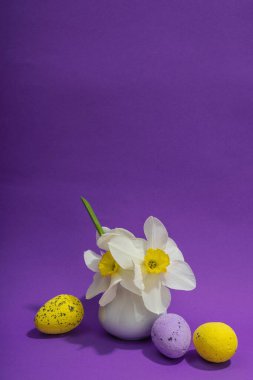 Çiçekli nergisler, paskalya yumurtaları ve mor arka planda tavşanlar. Mutlu bayramlar, tebrik kartı, geleneksel festival kompozisyonu, kopyalama alanı