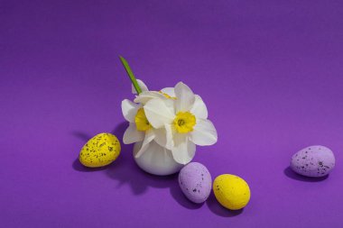 Çiçekli nergisler, paskalya yumurtaları ve mor arka planda tavşanlar. Mutlu bayramlar, tebrik kartı, geleneksel festival kompozisyonu, üst görünüm