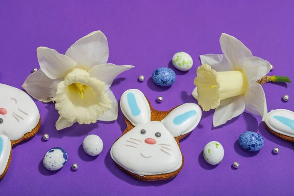 Geleneksel Paskalya kurabiyeleri, yenilebilir şenlik dekorları. Ev yapımı pişirme konsepti, tatlı tatlılar. Tebrik kartı, mor arkaplan, düz yatak, yakın çekim.