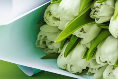 Pastel yeşil arka planda bir buket beyaz lale. Çiçek açan, Anneler Günü ya da Sevgililer Günü için neşeli bir konsept. Tebrik kartı, Paskalya düzlüğü, en iyi dileklerimle, kapat.