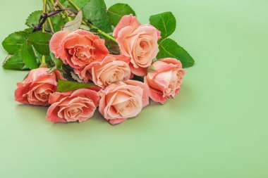 Pastel yeşil arka planda vazoda bir buket gül. Çiçek açan, Anneler Günü ya da Sevgililer Günü için neşeli bir konsept. Tebrik kartı, Paskalya düzlüğü, en iyi dileklerimle, kopyalama alanı