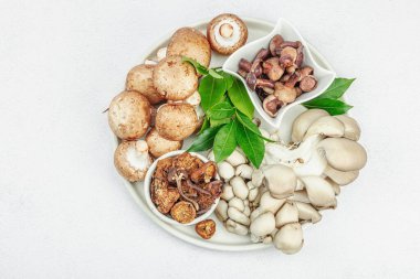 Taze, kuru ve turşulu çeşitli mantarlar. İstiridye mantarı, kremini, porcini ve shiitake. Vejetaryen yemeği pişirmek için sağlıklı malzeme. Seçici odak, hafif taş arkaplan, üst görünüm