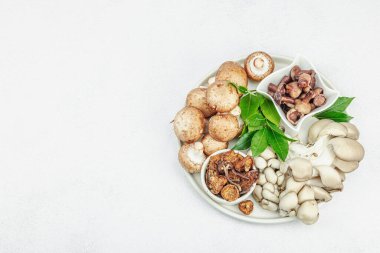 Taze, kuru ve turşulu çeşitli mantarlar. İstiridye mantarı, kremini, porcini ve shiitake. Vejetaryen yemeği pişirmek için sağlıklı malzeme. Seçici odak, hafif taş arkaplan, üst görünüm
