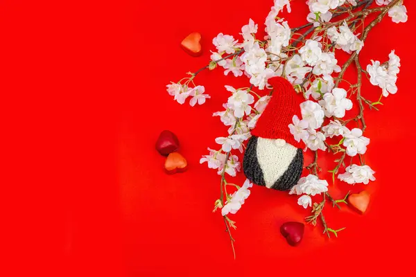 Minimalistiskt Vårkort Med Stickad Tomte Och Blommande Körsbärsgrenar Traditionell Festlig — Stockfoto
