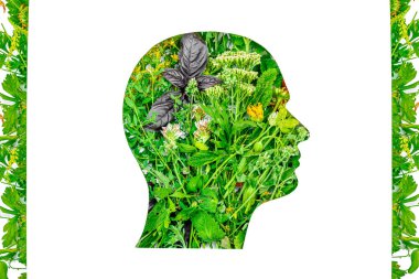 Organik bakım ve ekolojik dünya konseri. Sağlıklı vejetaryen yemekleri, doğadan gelen vitaminler. Yenebilir yapraklarda farklı yeşilliklere sahip ana hatlı kafa. Beyaz arkaplan, sıfır atık, düz yatış, üst görünüm