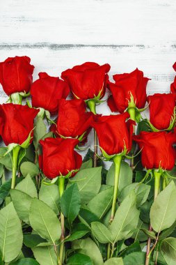 Beyaz arka planda bir buket kırmızı gül. Çiçek açan, Anneler Günü ya da Sevgililer Günü için neşeli bir konsept. Tebrik kartı, Paskalya düzlüğü, en iyi dilekler, en iyi manzara.