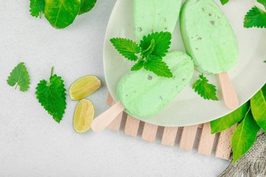 Modaya uygun limonlu dondurma. Çikolata damlaları, taze yapraklar, olgun limonlar. Yaz tatlısı, vejetaryen laktozsuz yemek. Hafif taş zemin, düz zemin, üst manzara