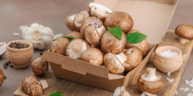 Baharatlı ve otlu taze taze taze kremini mantarlar. Vejetaryen yemeği pişirmek için sağlıklı malzeme. Çiftlikten masaya konsept, düz konum, sıcak kahverengi arkaplan, afiş biçimi