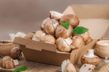 Baharatlı ve otlu taze taze taze kremini mantarlar. Vejetaryen yemeği pişirmek için sağlıklı malzeme. Çiftlikten masaya konsept, düz yatak, sıcak kahverengi arka plan, yakın çekim