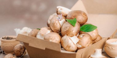 Baharatlı ve otlu taze taze taze kremini mantarlar. Vejetaryen yemeği pişirmek için sağlıklı malzeme. Çiftlikten masaya konsept, düz konum, sıcak kahverengi arkaplan, afiş biçimi