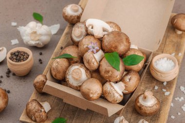 Baharatlı ve otlu taze taze taze kremini mantarlar. Vejetaryen yemeği pişirmek için sağlıklı malzeme. Çiftlikten masaya konsept, düz yatak, sıcak kahverengi arka plan, yakın çekim