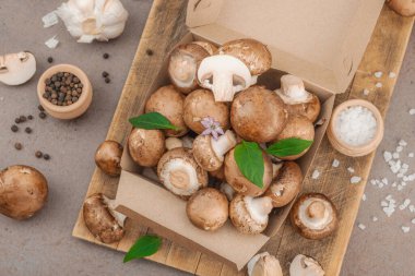 Baharatlı ve otlu taze taze taze kremini mantarlar. Vejetaryen yemeği pişirmek için sağlıklı malzeme. Çiftlikten masaya konsept, düz yatak, sıcak kahverengi arka plan, üst görünüm