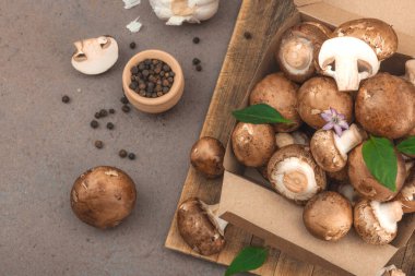 Baharatlı ve otlu taze taze taze kremini mantarlar. Vejetaryen yemeği pişirmek için sağlıklı malzeme. Çiftlikten masaya konsept, düz yatak, sıcak kahverengi arka plan, üst görünüm