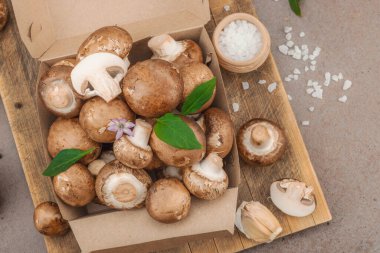 Baharatlı ve otlu taze taze taze kremini mantarlar. Vejetaryen yemeği pişirmek için sağlıklı malzeme. Çiftlikten masaya konsept, düz yatak, sıcak kahverengi arka plan, üst görünüm