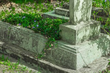 Hafıza Günü konsepti. Sakin bir kırsal alanda taş mezarları olan antik bir mezarlık. Nesiller boyu yaşayanlara küresel hatıra, onur ve saygıyı sembolize eden barışçıl bir ortam.