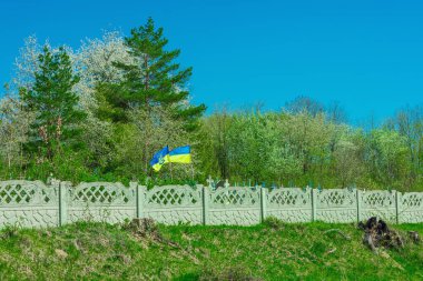 Hafıza Günü konsepti. Çiçek açan ağaçlar ve ulusal bayraklarla dolu huzurlu bir Ukrayna mezarlığı manzarası. Bahar manzarası hatırayı, onuru ve saygıyı yansıtıyor.