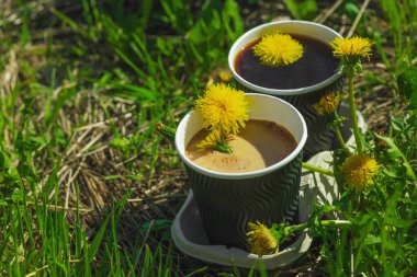 Ekolojik kağıt bardaklarda moda hindiba kahvesi, çiçek açan çayır arka planda. Sağlıklı yaşam tarzına, sürdürülebilir alışkanlıklara ve natürmort yaşam konseptine odaklanın.