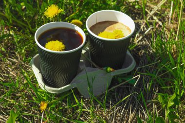 Ekolojik kağıt bardaklarda moda hindiba kahvesi, çiçek açan çayır arka planda. Sağlıklı yaşam tarzına, sürdürülebilir alışkanlıklara ve natürmort yaşam konseptine odaklanın.