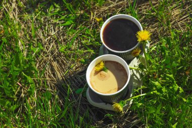 Ekolojik kağıt bardaklarda moda hindiba kahvesi, çiçek açan çayır arka planda. Sağlıklı yaşam tarzına, sürdürülebilir alışkanlıklara ve natürmort yaşam konseptine odaklanın.