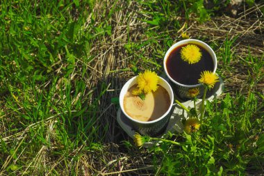 Ekolojik kağıt bardaklarda moda hindiba kahvesi, çiçek açan çayır arka planda. Sağlıklı yaşam tarzına, sürdürülebilir alışkanlıklara ve natürmort yaşam konseptine odaklanın.