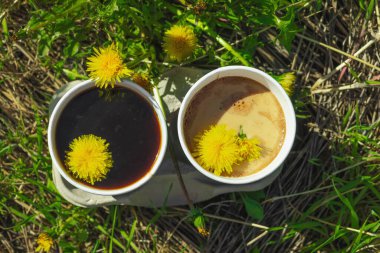 Ekolojik kağıt bardaklarda moda hindiba kahvesi, çiçek açan çayır arka planda. Sağlıklı yaşam tarzına, sürdürülebilir alışkanlıklara ve natürmort yaşam konseptine odaklanın.