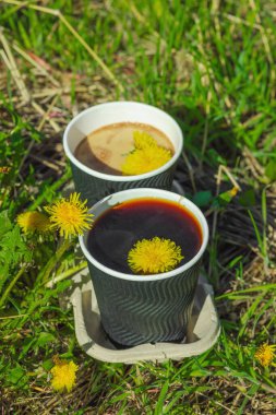 Ekolojik kağıt bardaklarda moda hindiba kahvesi, çiçek açan çayır arka planda. Sağlıklı yaşam tarzına, sürdürülebilir alışkanlıklara ve natürmort yaşam konseptine odaklanın.