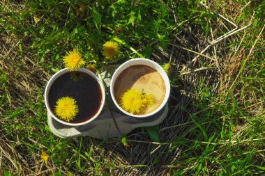 Ekolojik kağıt bardaklarda moda hindiba kahvesi, çiçek açan çayır arka planda. Sağlıklı yaşam tarzına, sürdürülebilir alışkanlıklara ve natürmort yaşam konseptine odaklanın.