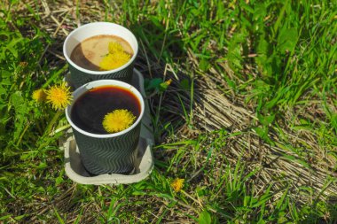 Ekolojik kağıt bardaklarda moda hindiba kahvesi, çiçek açan çayır arka planda. Sağlıklı yaşam tarzına, sürdürülebilir alışkanlıklara ve natürmort yaşam konseptine odaklanın.