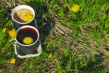 Ekolojik kağıt bardaklarda moda hindiba kahvesi, çiçek açan çayır arka planda. Sağlıklı yaşam tarzına, sürdürülebilir alışkanlıklara ve natürmort yaşam konseptine odaklanın.