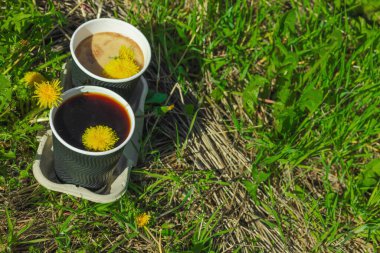 Ekolojik kağıt bardaklarda moda hindiba kahvesi, çiçek açan çayır arka planda. Sağlıklı yaşam tarzına, sürdürülebilir alışkanlıklara ve natürmort yaşam konseptine odaklanın.