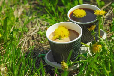 Ekolojik kağıt bardaklarda moda hindiba kahvesi, çiçek açan çayır arka planda. Sağlıklı yaşam tarzına, sürdürülebilir alışkanlıklara ve natürmort yaşam konseptine odaklanın.