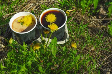 Ekolojik kağıt bardaklarda moda hindiba kahvesi, çiçek açan çayır arka planda. Sağlıklı yaşam tarzına, sürdürülebilir alışkanlıklara ve natürmort yaşam konseptine odaklanın.