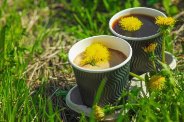 Ekolojik kağıt bardaklarda moda hindiba kahvesi, çiçek açan çayır arka planda. Sağlıklı yaşam tarzına, sürdürülebilir alışkanlıklara ve natürmort yaşam konseptine odaklanın.