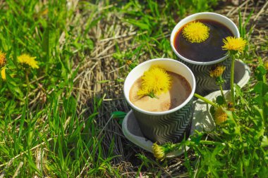 Ekolojik kağıt bardaklarda moda hindiba kahvesi, çiçek açan çayır arka planda. Sağlıklı yaşam tarzına, sürdürülebilir alışkanlıklara ve natürmort yaşam konseptine odaklanın.