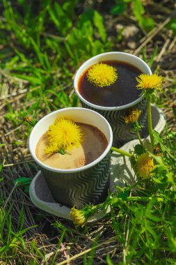 Ekolojik kağıt bardaklarda moda hindiba kahvesi, çiçek açan çayır arka planda. Sağlıklı yaşam tarzına, sürdürülebilir alışkanlıklara ve natürmort yaşam konseptine odaklanın.