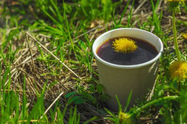 Ekolojik kağıt bardaklarda moda hindiba kahvesi, çiçek açan çayır arka planda. Sağlıklı yaşam tarzına, sürdürülebilir alışkanlıklara ve natürmort yaşam konseptine odaklanın.
