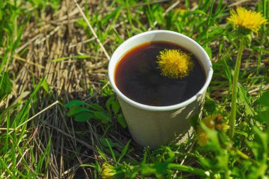 Ekolojik kağıt bardaklarda moda hindiba kahvesi, çiçek açan çayır arka planda. Sağlıklı yaşam tarzına, sürdürülebilir alışkanlıklara ve natürmort yaşam konseptine odaklanın.