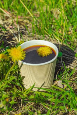 Ekolojik kağıt bardaklarda moda hindiba kahvesi, çiçek açan çayır arka planda. Sağlıklı yaşam tarzına, sürdürülebilir alışkanlıklara ve natürmort yaşam konseptine odaklanın.
