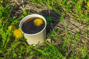 Ekolojik kağıt bardaklarda moda hindiba kahvesi, çiçek açan çayır arka planda. Sağlıklı yaşam tarzına, sürdürülebilir alışkanlıklara ve natürmort yaşam konseptine odaklanın.