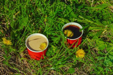 Ekolojik kağıt bardaklarda moda hindiba kahvesi, çiçek açan çayır arka planda. Sağlıklı yaşam tarzına, sürdürülebilir alışkanlıklara ve natürmort yaşam konseptine odaklanın.