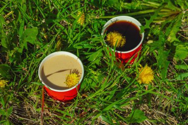 Ekolojik kağıt bardaklarda moda hindiba kahvesi, çiçek açan çayır arka planda. Sağlıklı yaşam tarzına, sürdürülebilir alışkanlıklara ve natürmort yaşam konseptine odaklanın.