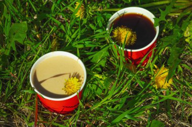 Ekolojik kağıt bardaklarda moda hindiba kahvesi, çiçek açan çayır arka planda. Sağlıklı yaşam tarzına, sürdürülebilir alışkanlıklara ve natürmort yaşam konseptine odaklanın.