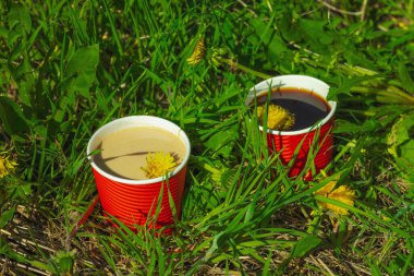 Ekolojik kağıt bardaklarda moda hindiba kahvesi, çiçek açan çayır arka planda. Sağlıklı yaşam tarzına, sürdürülebilir alışkanlıklara ve natürmort yaşam konseptine odaklanın.