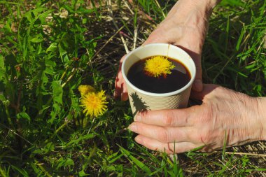 Yeşil çimlerin üzerinde el ele tutulan kağıt bir bardakta modaya uygun bitkisel karahindiba kahvesi. Sağlıklı yaşam tarzı, doğa, sürdürülebilir yaşam