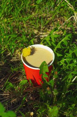 Ekolojik kağıt bardaklarda moda hindiba kahvesi, çiçek açan çayır arka planda. Sağlıklı yaşam tarzına, sürdürülebilir alışkanlıklara ve natürmort yaşam konseptine odaklanın.