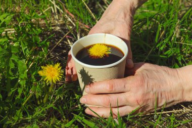 Yeşil çimlerin üzerinde el ele tutulan kağıt bir bardakta modaya uygun bitkisel karahindiba kahvesi. Sağlıklı yaşam tarzı, doğa, sürdürülebilir yaşam