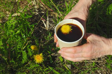 Yeşil çimlerin üzerinde el ele tutulan kağıt bir bardakta modaya uygun bitkisel karahindiba kahvesi. Sağlıklı yaşam tarzı, doğa, sürdürülebilir yaşam