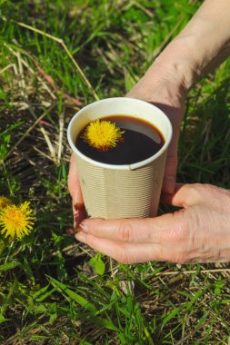 Yeşil çimlerin üzerinde el ele tutulan kağıt bir bardakta modaya uygun bitkisel karahindiba kahvesi. Sağlıklı yaşam tarzı, doğa, sürdürülebilir yaşam